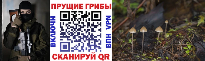 Псилоцибиновые грибы Magic Shrooms Верхнеуральск